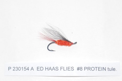 #8 PROTEIN tule